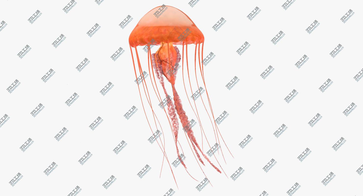images/goods_img/2021040234/Jellyfish 01/2.jpg
